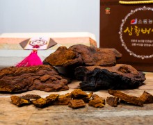 상황버섯500g