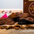 상황버섯500g